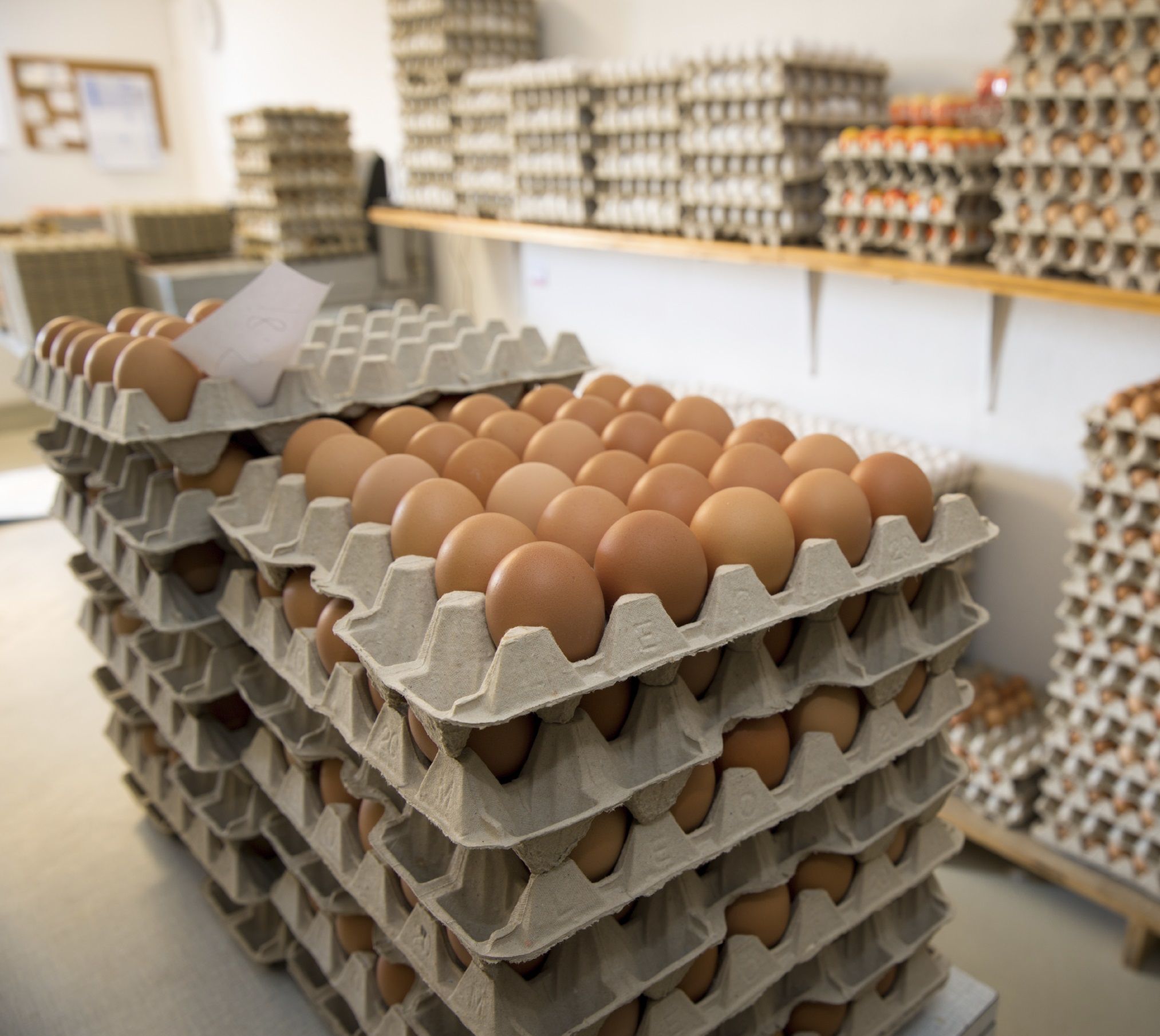 Image of eggs