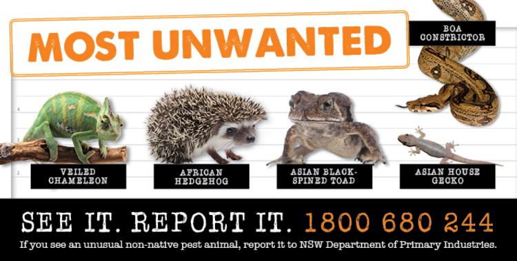 Decorative image - Most Unwanted campaign