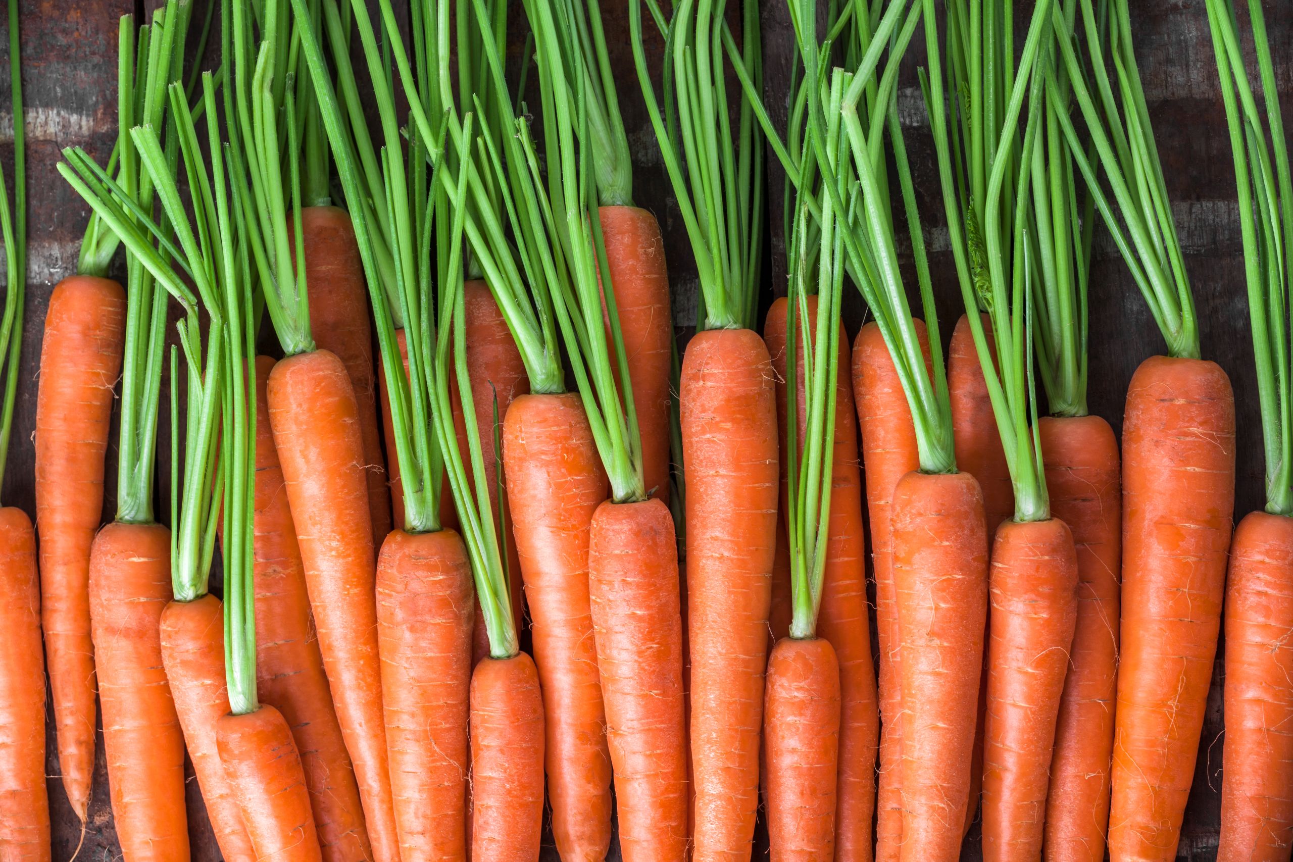 Banner image of carrots