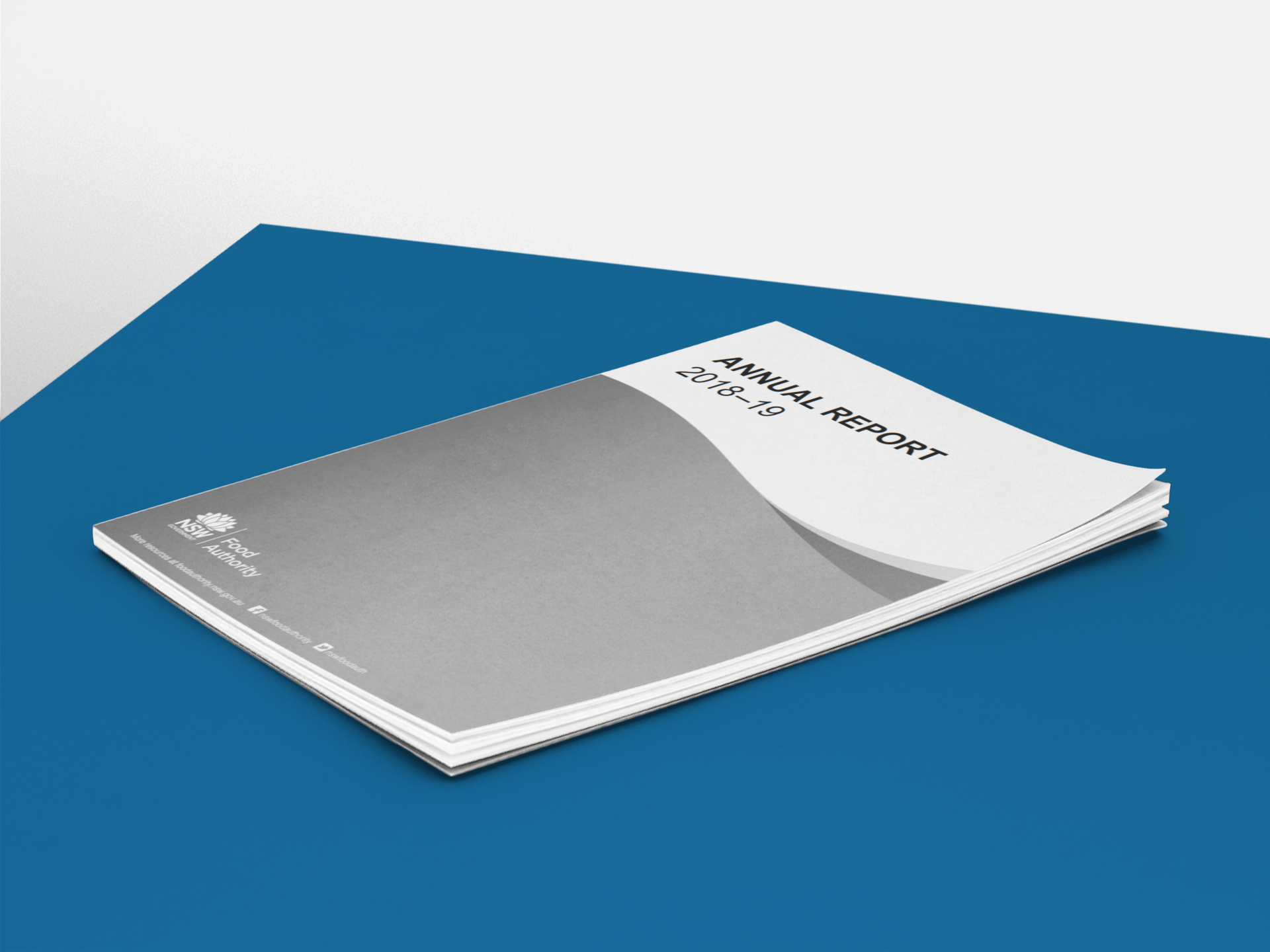 Image of annual report cover