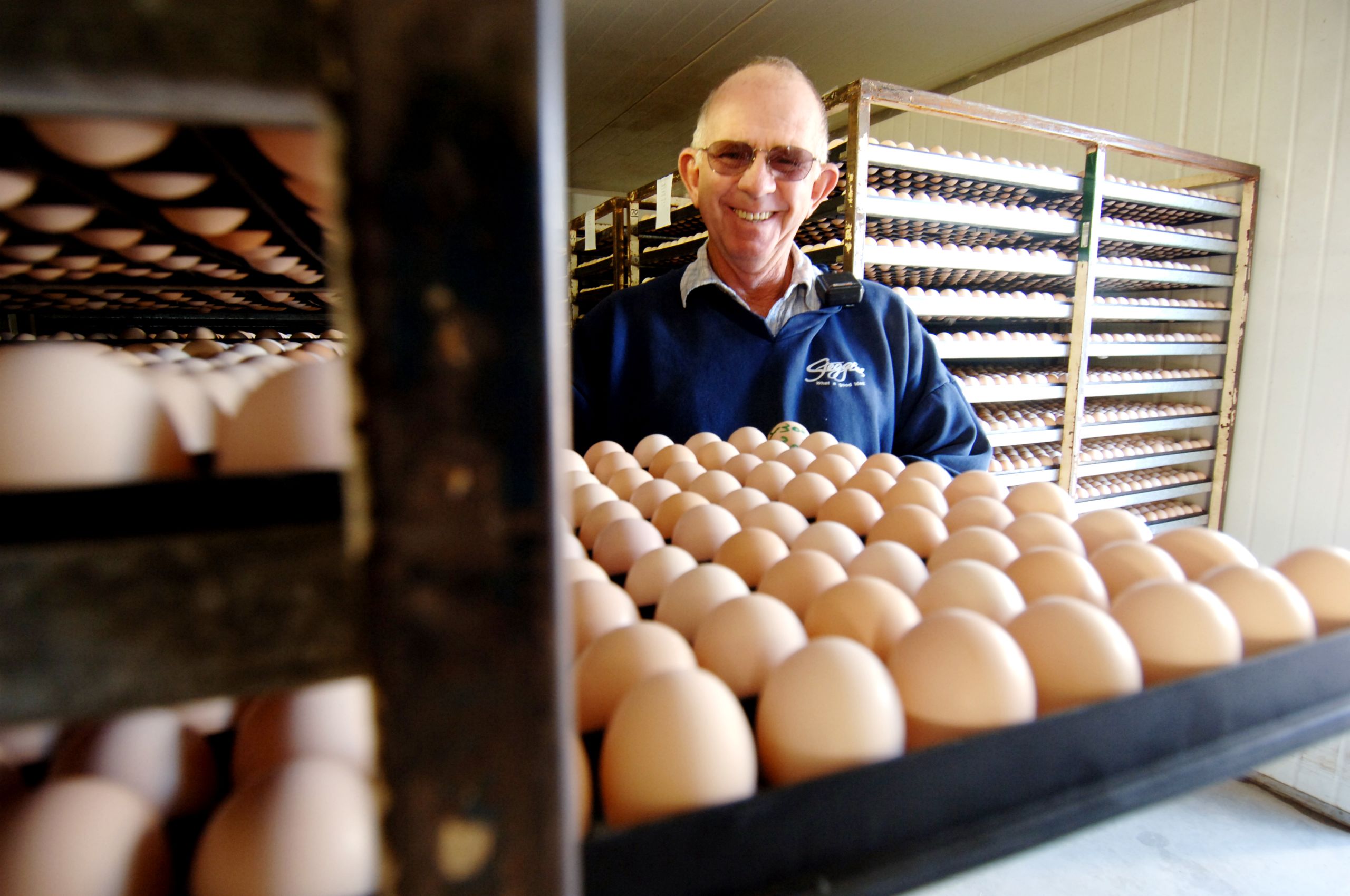 Image of eggs