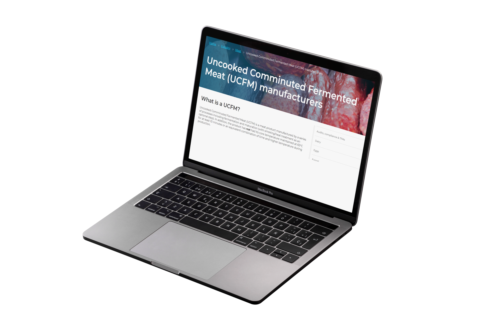 Inset image of UCFM webpage