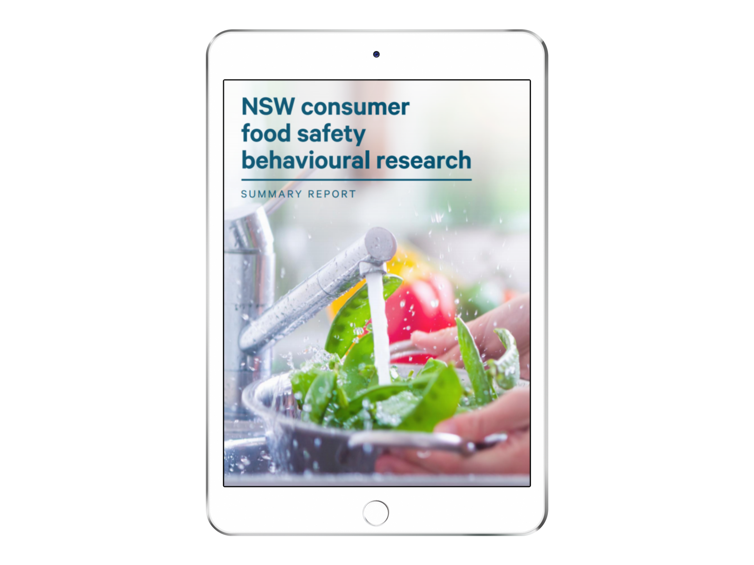 Inset image of ipad with cover of report