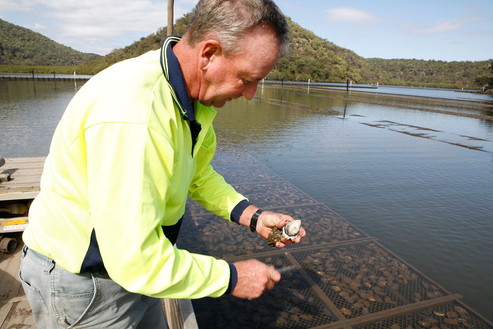 background image of person holding shellfish