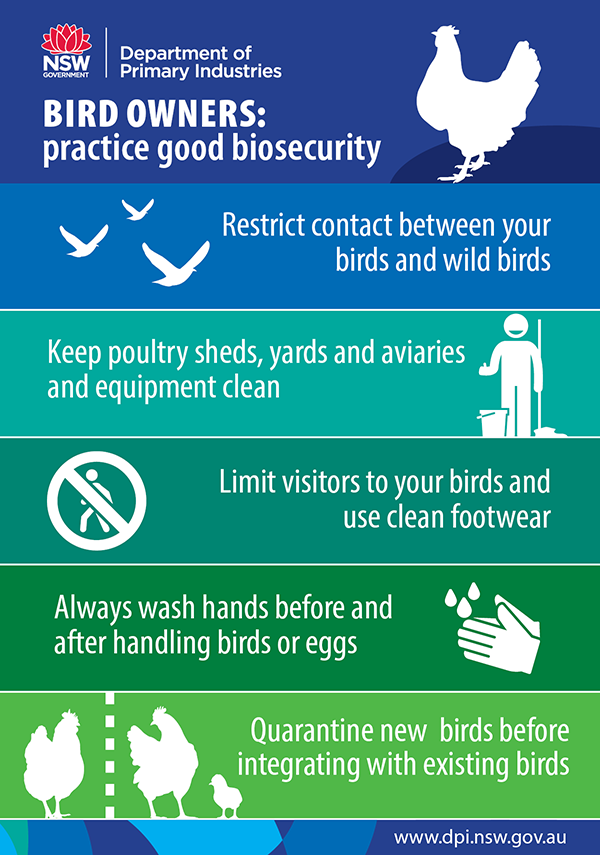 Bird owners: practice good biosecurity
