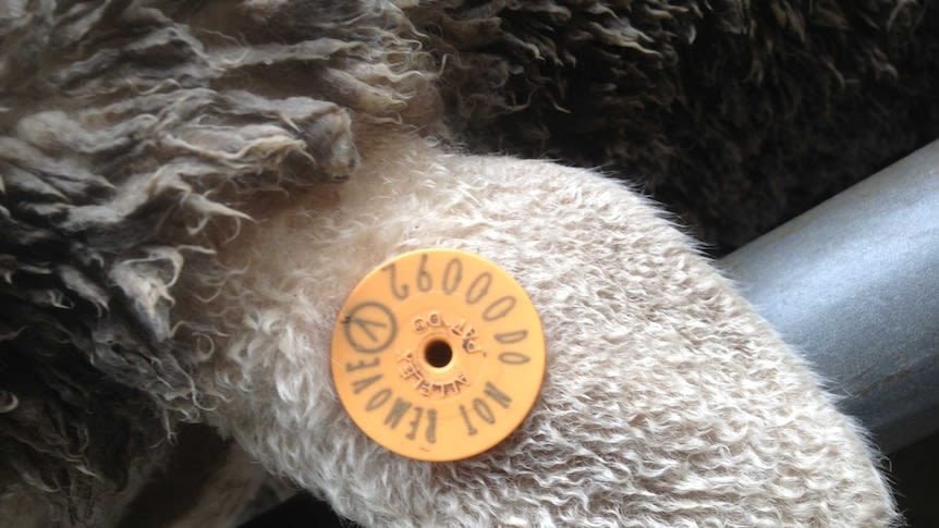 eID (electronic identification) tag