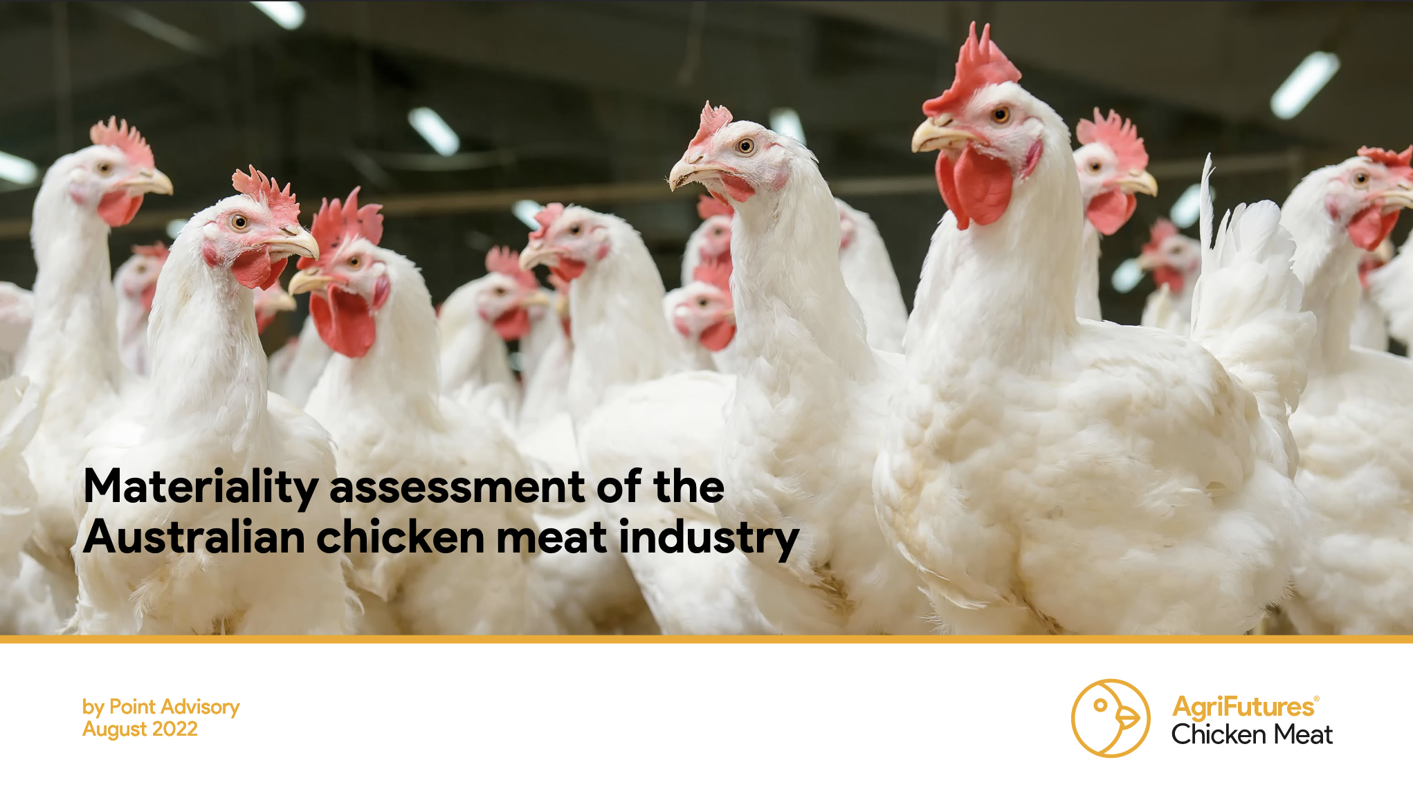Materiality assessment of the Australian chicken meat industry