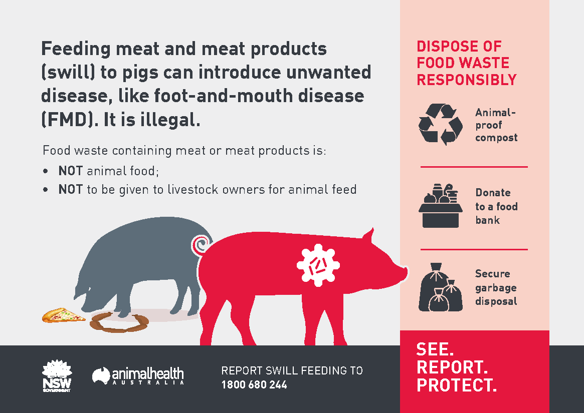 Feeding meat and meat products (swill) to pigs is illegal.