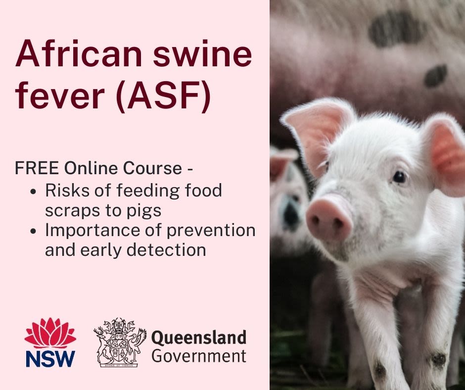 African swine fever (ASF), free online course available.